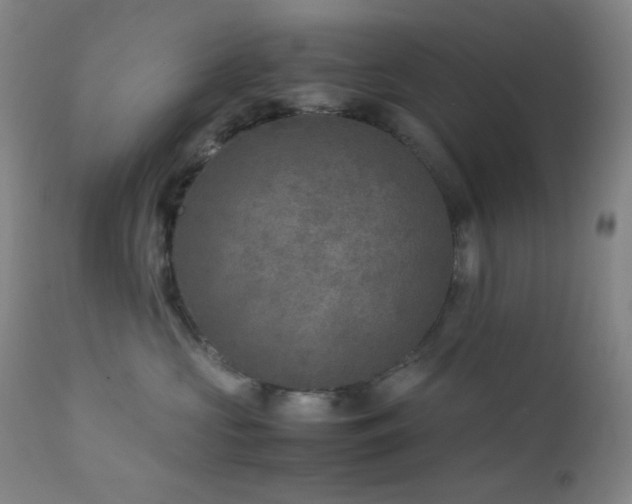 X0000111900573200907271200