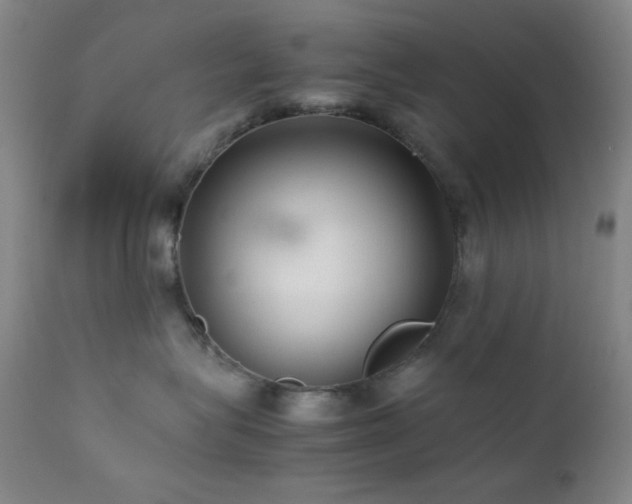 X0000111900575200907271201