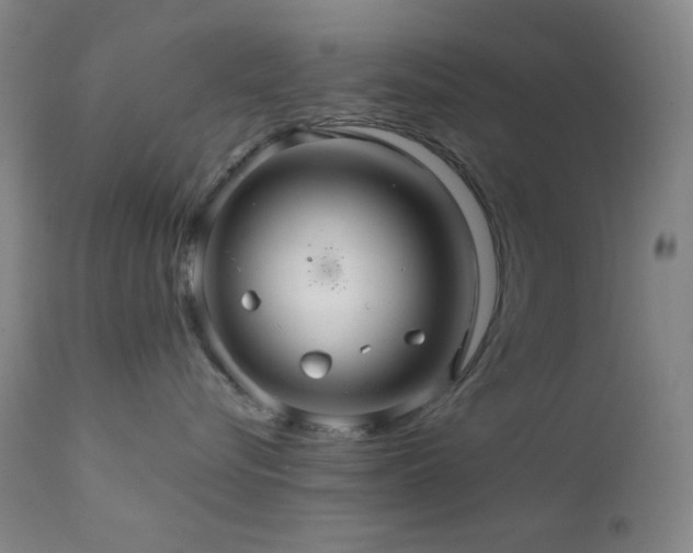 X0000111900576200907271201