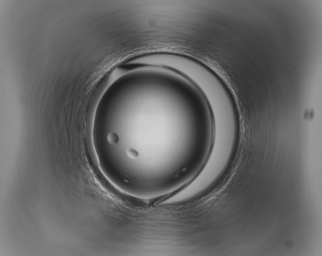 X0000111900577200907271200