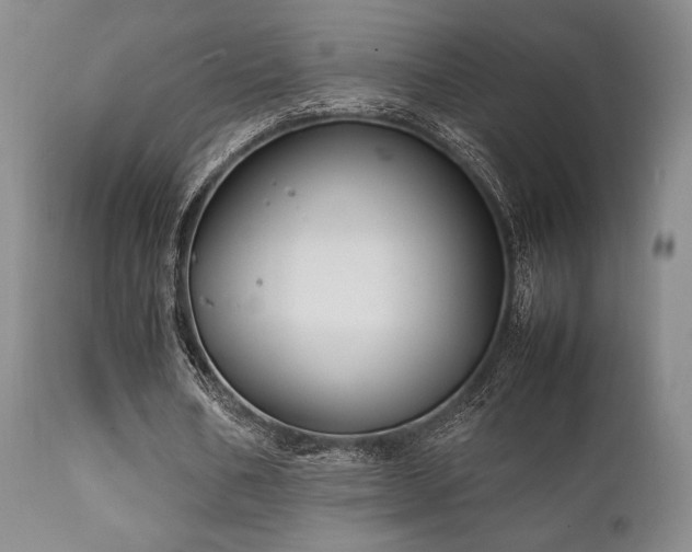 X0000111900578200907271200