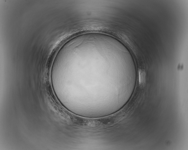 X0000111900579200907271200