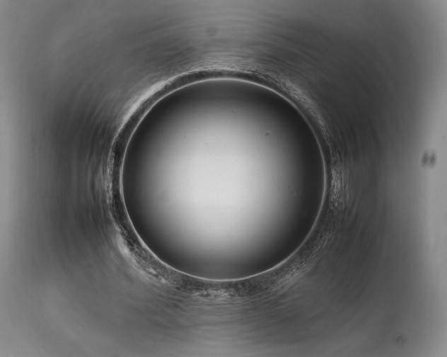 X0000111900580200907271200