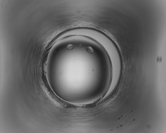 X0000111900581200907271200