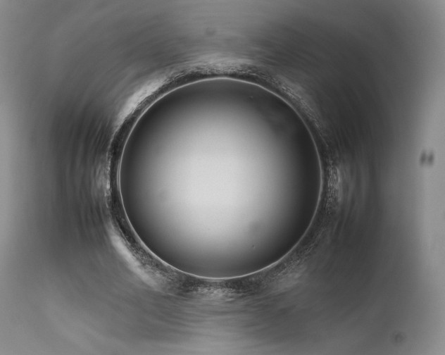 X0000111900582200907271200