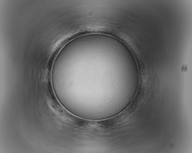 X0000111900583200907271200