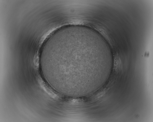 X0000111900584200907271200