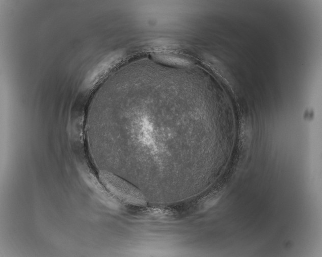 X0000111900585200907271200