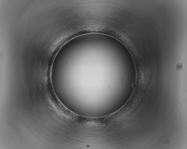 X0000111900586200907271200