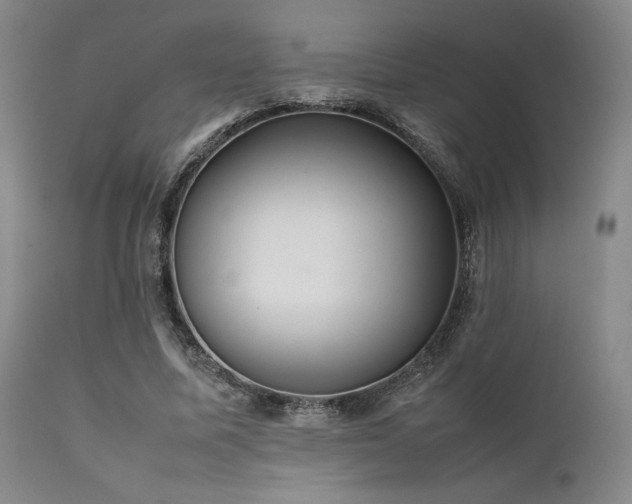 X0000111900587200907271200