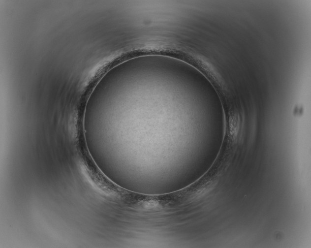 X0000111900588200907271200