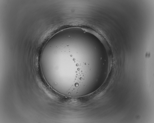 X0000111900589200907271200