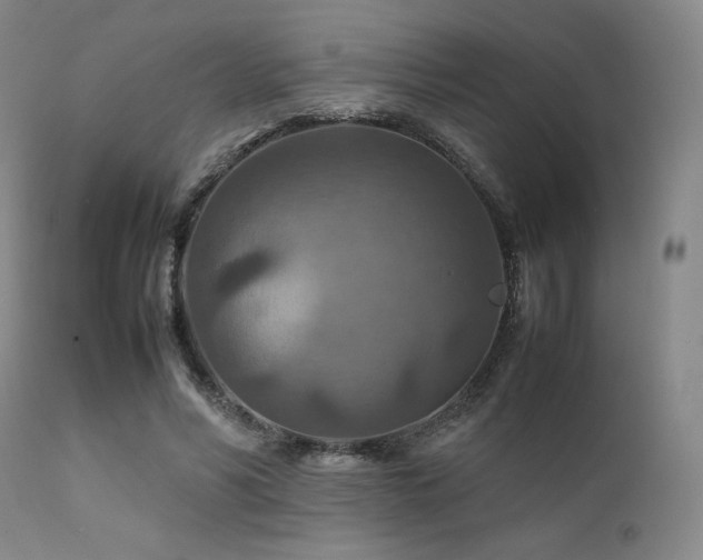 X0000111900590200907271200