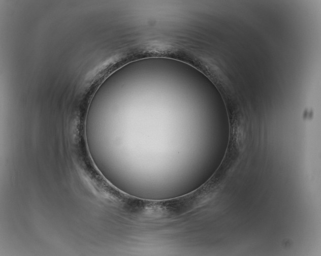 X0000111900591200907271200