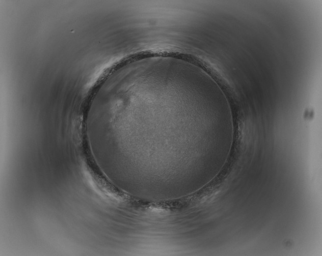 X0000111900592200907271200