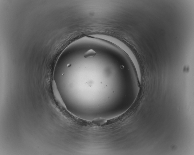 X0000111900593200907271200