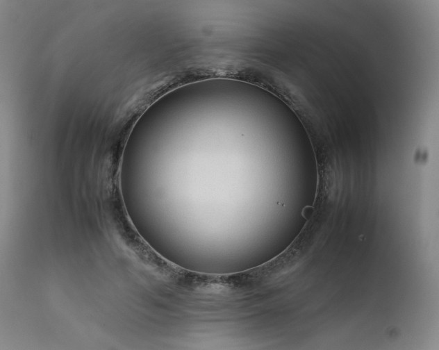 X0000111900594200907271200