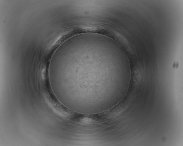 X0000111900596200907271200