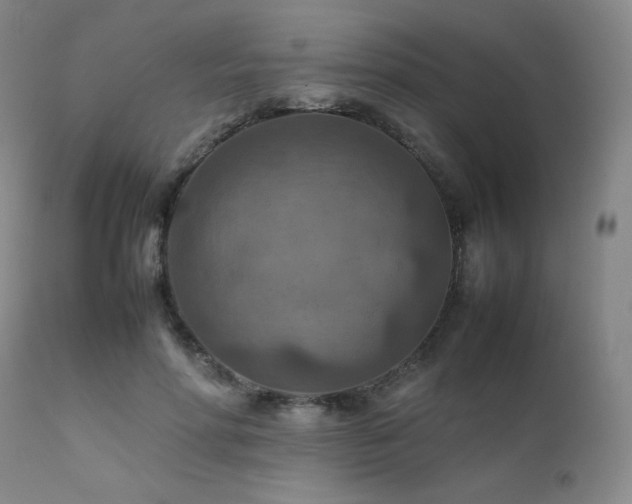 X0000111900598200907271200