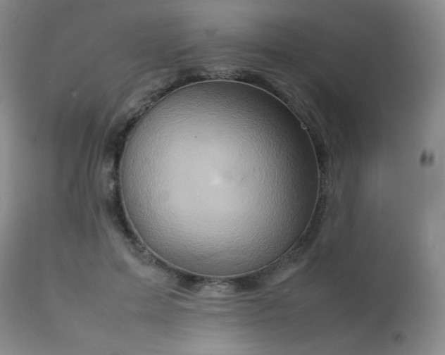 X0000111900599200907271200