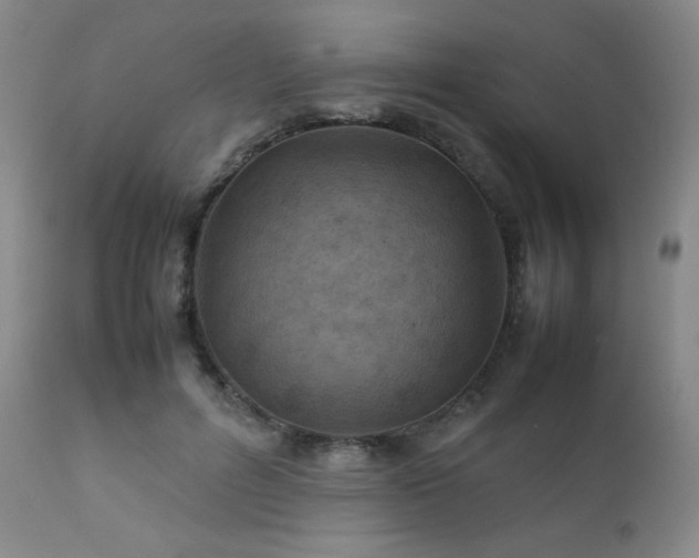 X0000111900600200907271159