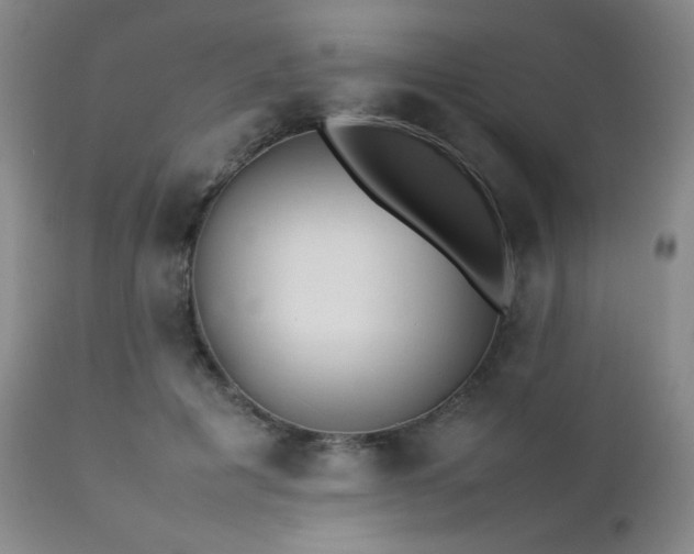 X0000111900601200907271159