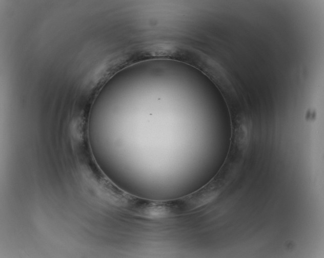 X0000111900604200907271159