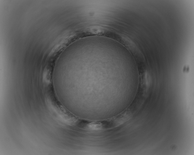 X0000111900606200907271159