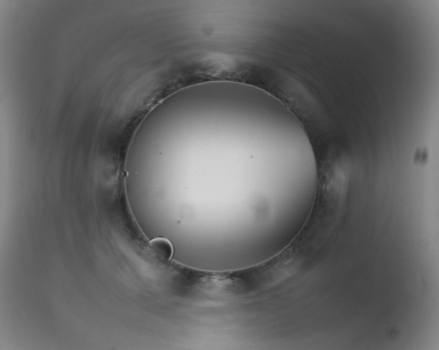 X0000111900607200907271159