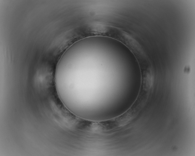 X0000111900608200907271159