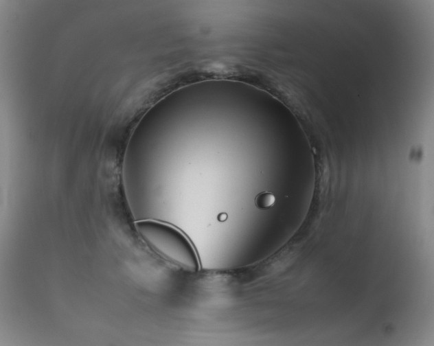 X0000111900609200907271159