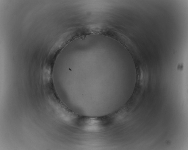 X0000111900610200907271159