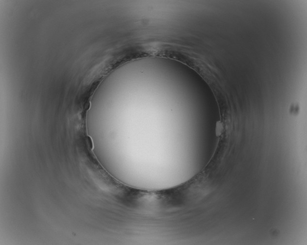 X0000111900611200907271159