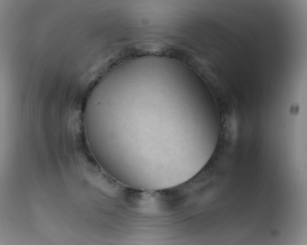 X0000111900612200907271159