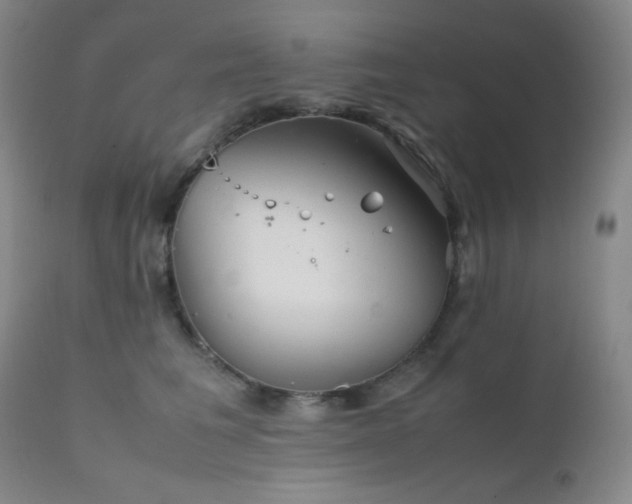 X0000111900613200907271159