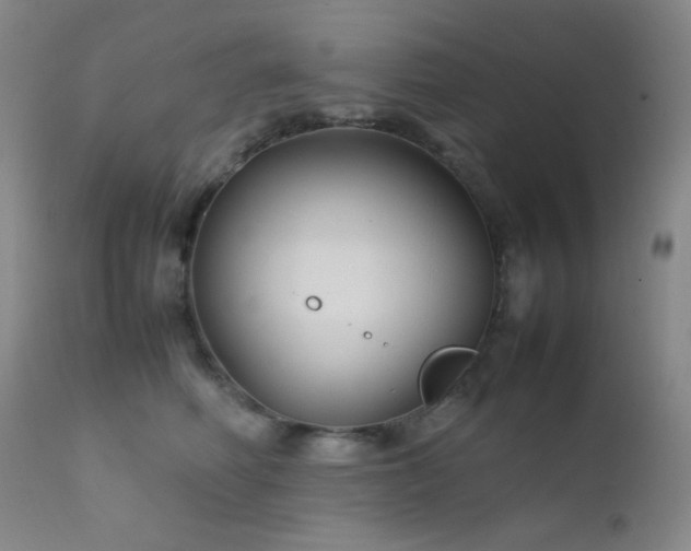 X0000111900614200907271159