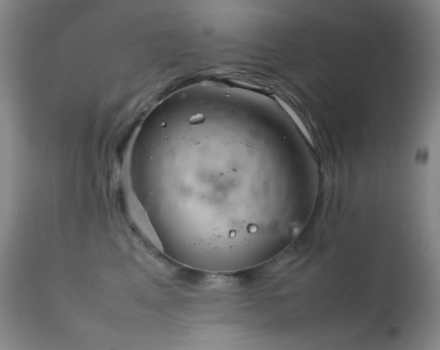 X0000111900617200907271159