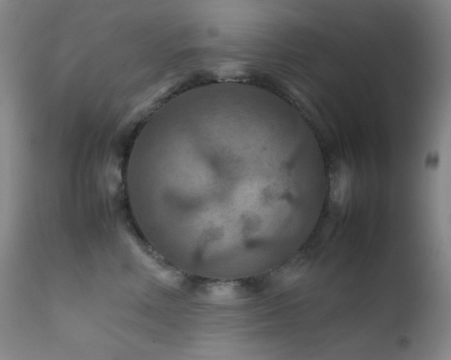 X0000111900618200907271159