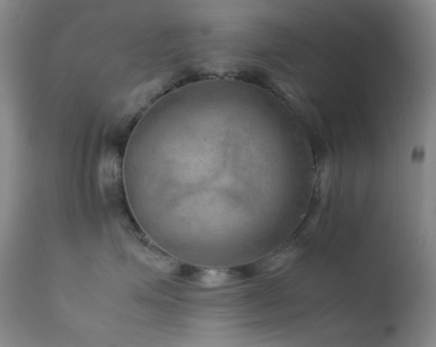 X0000111900623200907271159