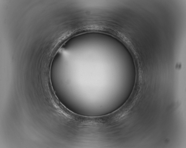 X0000111900625200907271159