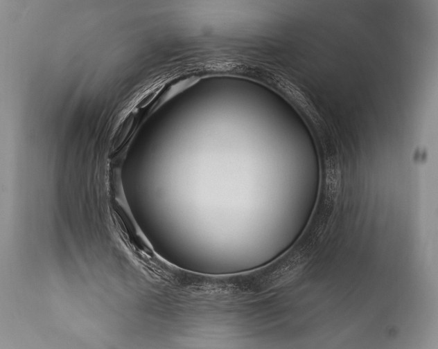 X0000111900626200907271159