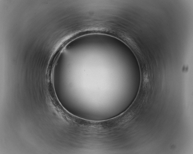 X0000111900628200907271159