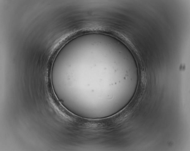 X0000111900629200907271159