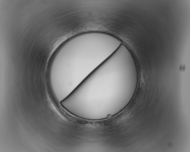 X0000111900630200907271159