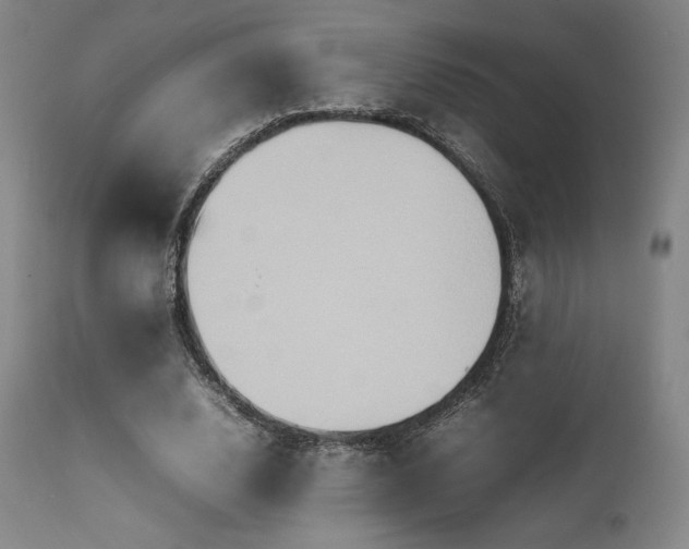 X0000111900632200907271159