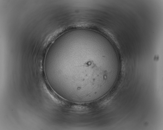 X0000111900633200907271159