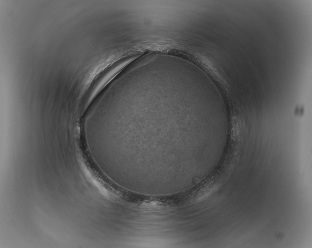 X0000111900634200907271159