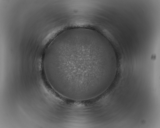 X0000111900640200907271159