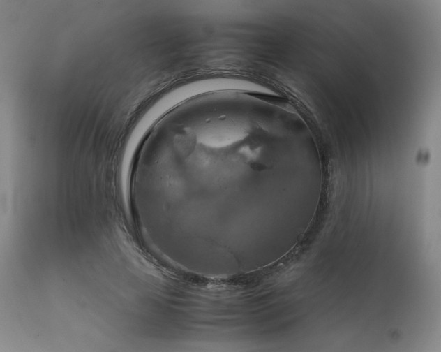 X0000111900641200907271159