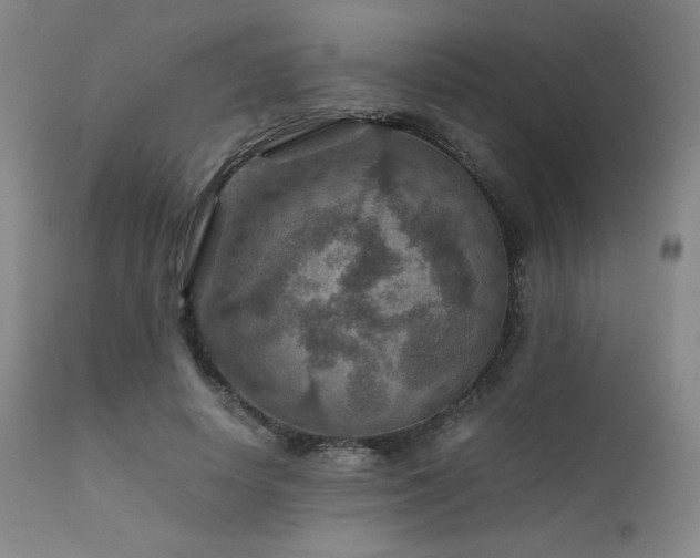 X0000111900642200907271159